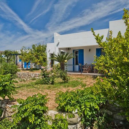 Pleiades Apartments Lefkos  المظهر الخارجي الصورة