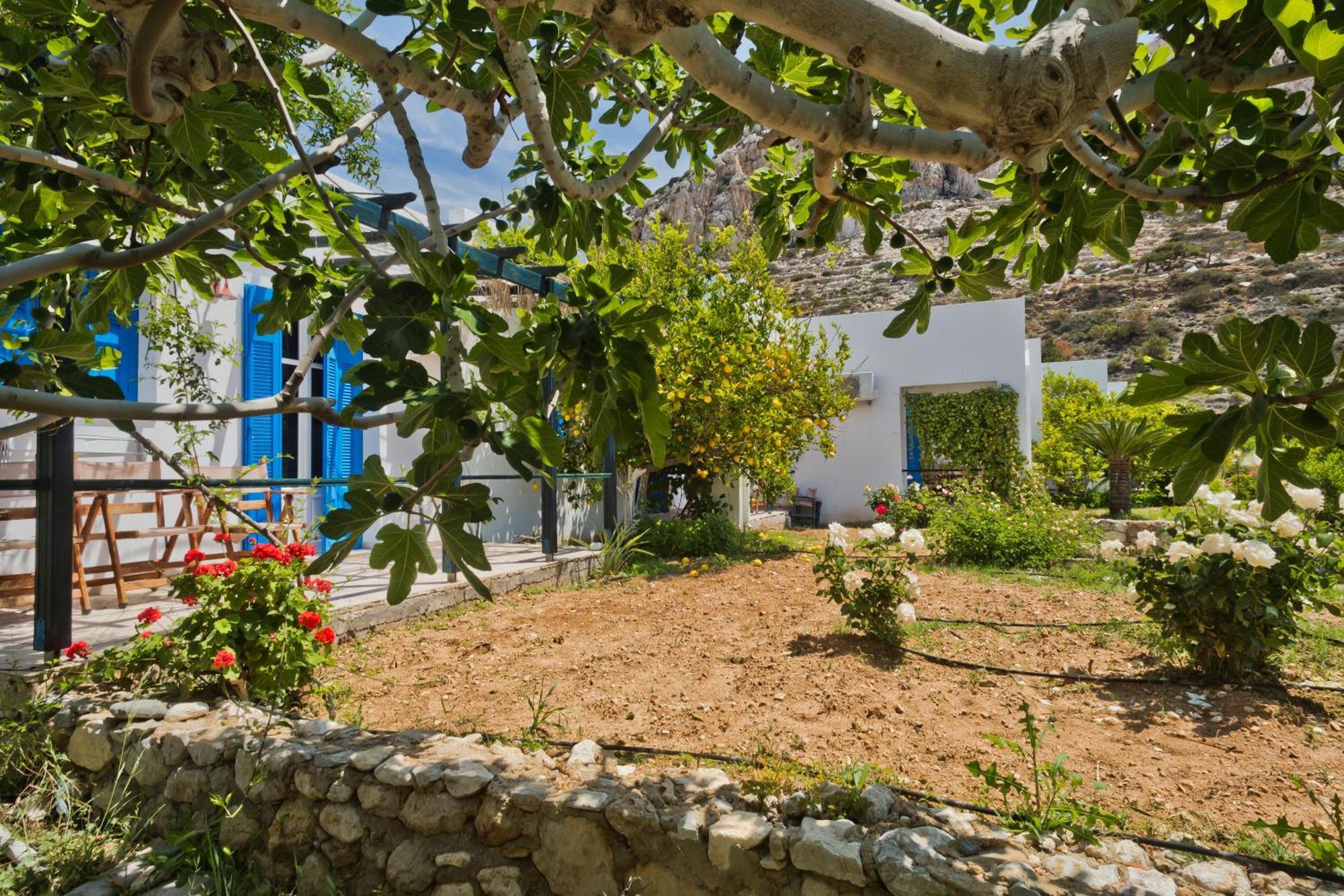 Pleiades Apartments Lefkos  المظهر الخارجي الصورة
