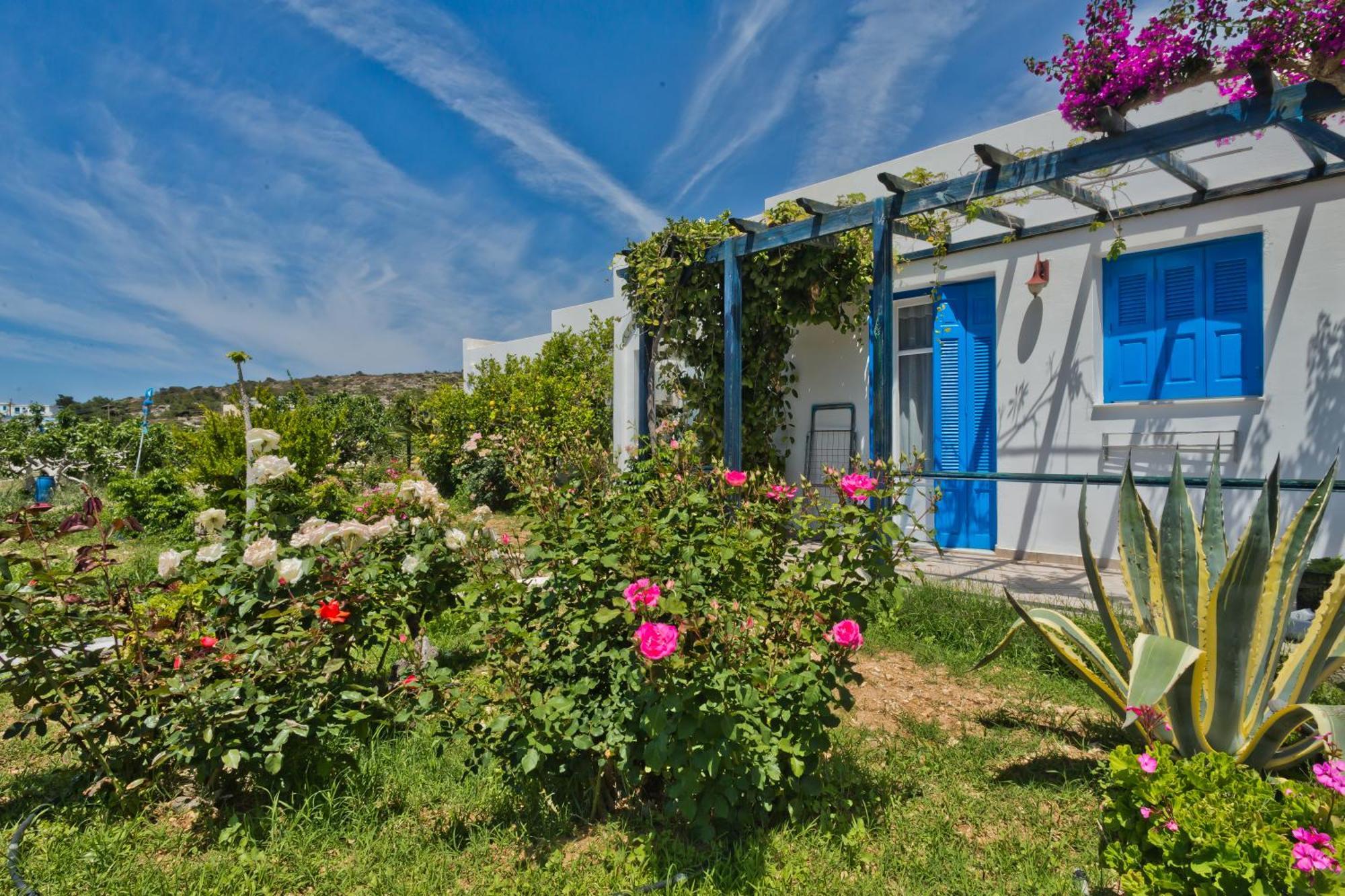 Pleiades Apartments Lefkos  المظهر الخارجي الصورة